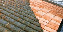 Comment choisir un antimousse pour sa toiture ?